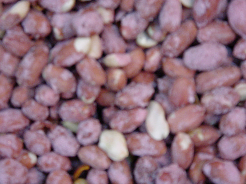 %_tempFileNameDSC00035%
