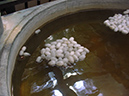 %_tempFileNameDSC00025%
