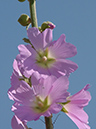 %_tempFileNameDSC00032%