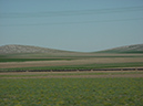 %_tempFileNameDSC00133%