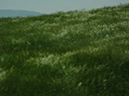 %_tempFileNameDSC00160%