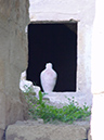 %_tempFileNameDSC00225%