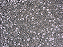 %_tempFileNameDSC00333%