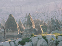 %_tempFileNameDSC00516%