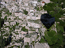 %_tempFileNameDSC00553%